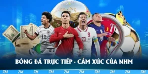 bóng đá trực tiếp