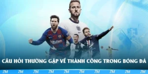 câu hỏi thường gặp