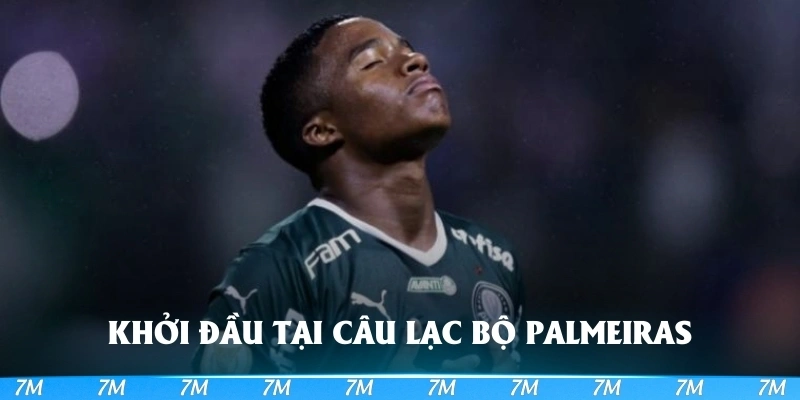 Khởi đầu tại câu lạc bộ Palmeiras